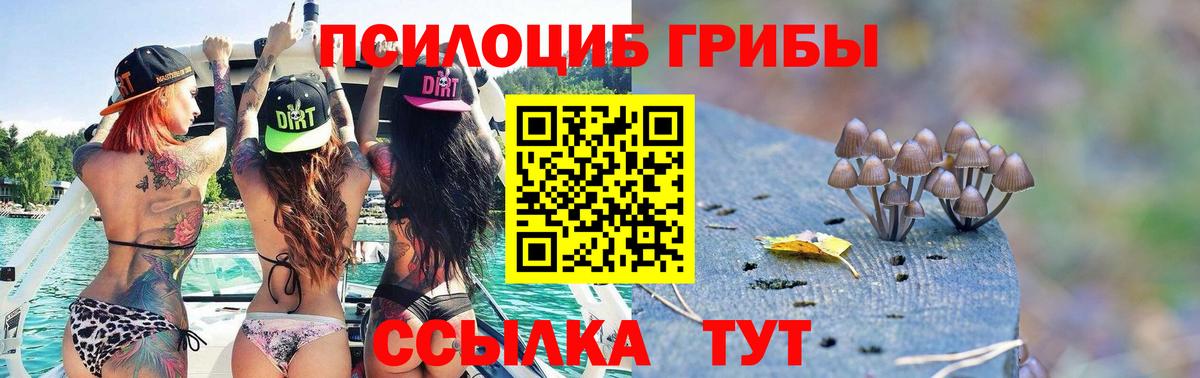 Полысаево  Галлюциногенные грибы прущие грибы  Вход с VPN 
